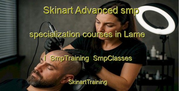 Skinart Advanced smp specialization courses in Lame I | SmpTraining | SmpClasses | SkinartTraining-Italy