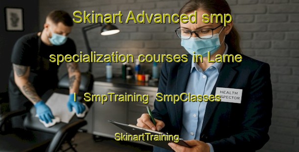 Skinart Advanced smp specialization courses in Lame I | SmpTraining | SmpClasses | SkinartTraining-Italy