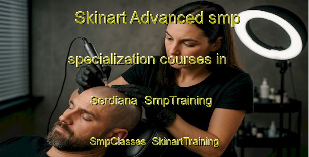 Skinart Advanced smp specialization courses in Serdiana | SmpTraining | SmpClasses | SkinartTraining-Italy