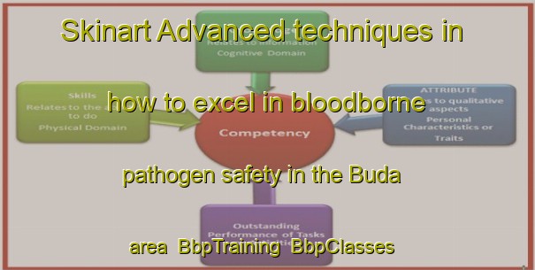 Skinart Advanced techniques in how to excel in bloodborne pathogen safety in the Buda area | BbpTraining | BbpClasses | SkinartTraining-Italy