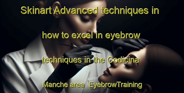 Skinart Advanced techniques in how to excel in eyebrow techniques in the Codicina Manche area | EyebrowTraining | EyebrowClasses | SkinartTraining-Italy