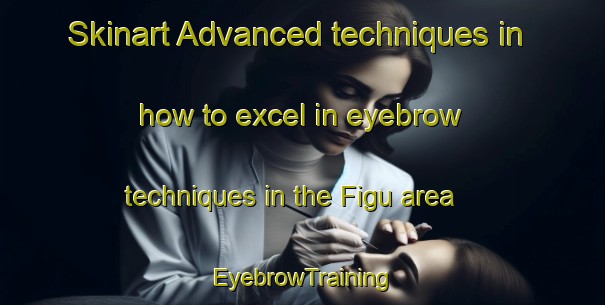 Skinart Advanced techniques in how to excel in eyebrow techniques in the Figu area | EyebrowTraining | EyebrowClasses | SkinartTraining-Italy