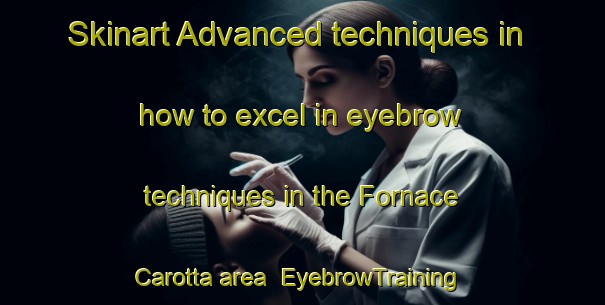 Skinart Advanced techniques in how to excel in eyebrow techniques in the Fornace Carotta area | EyebrowTraining | EyebrowClasses | SkinartTraining-Italy