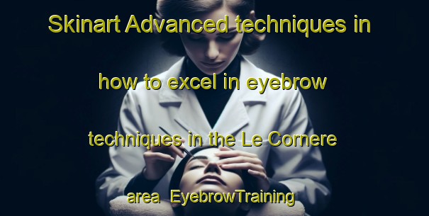 Skinart Advanced techniques in how to excel in eyebrow techniques in the Le Cornere area | EyebrowTraining | EyebrowClasses | SkinartTraining-Italy