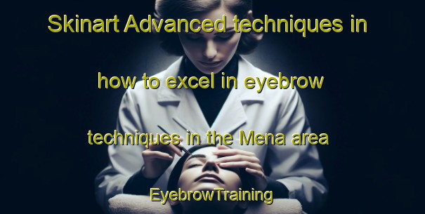 Skinart Advanced techniques in how to excel in eyebrow techniques in the Mena area | EyebrowTraining | EyebrowClasses | SkinartTraining-Italy