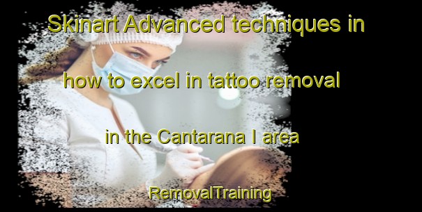 Skinart Advanced techniques in how to excel in tattoo removal in the Cantarana I area | RemovalTraining | RemovalClasses | SkinartTraining-Italy