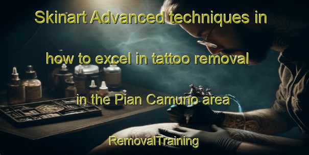 Skinart Advanced techniques in how to excel in tattoo removal in the Pian Camuno area | RemovalTraining | RemovalClasses | SkinartTraining-Italy