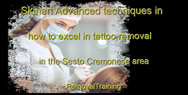 Skinart Advanced techniques in how to excel in tattoo removal in the Sesto Cremonese area | RemovalTraining | RemovalClasses | SkinartTraining-Italy