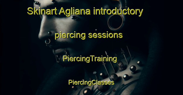 Skinart Agliana introductory piercing sessions | #PiercingTraining #PiercingClasses #SkinartTraining-Italy