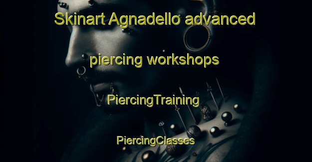 Skinart Agnadello advanced piercing workshops | #PiercingTraining #PiercingClasses #SkinartTraining-Italy