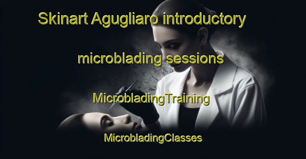 Skinart Agugliaro introductory microblading sessions | #MicrobladingTraining #MicrobladingClasses #SkinartTraining-Italy