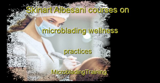 Skinart Albesani courses on microblading wellness practices | #MicrobladingTraining #MicrobladingClasses #SkinartTraining-Italy