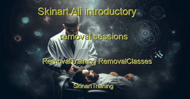 Skinart Ali introductory removal sessions | #RemovalTraining #RemovalClasses #SkinartTraining-Italy