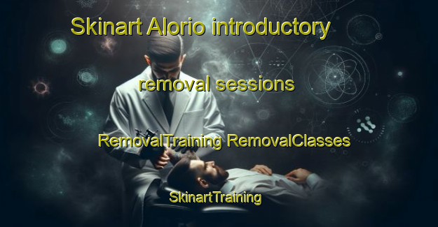 Skinart Alorio introductory removal sessions | #RemovalTraining #RemovalClasses #SkinartTraining-Italy