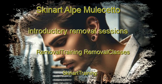 Skinart Alpe Mulecetto introductory removal sessions | #RemovalTraining #RemovalClasses #SkinartTraining-Italy