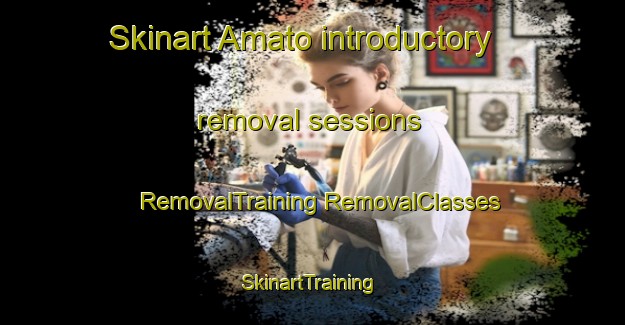 Skinart Amato introductory removal sessions | #RemovalTraining #RemovalClasses #SkinartTraining-Italy