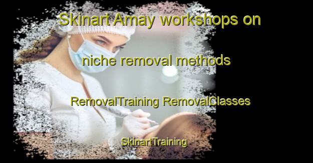 Skinart Amay workshops on niche removal methods | #RemovalTraining #RemovalClasses #SkinartTraining-Italy