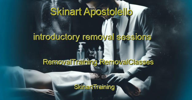 Skinart Apostolello introductory removal sessions | #RemovalTraining #RemovalClasses #SkinartTraining-Italy