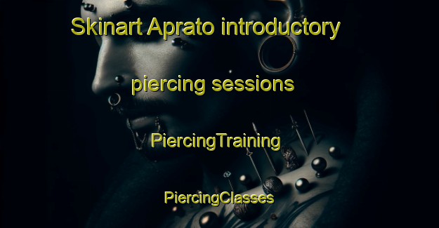 Skinart Aprato introductory piercing sessions | #PiercingTraining #PiercingClasses #SkinartTraining-Italy