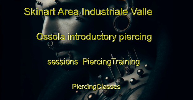 Skinart Area Industriale Valle Ossola introductory piercing sessions | #PiercingTraining #PiercingClasses #SkinartTraining-Italy