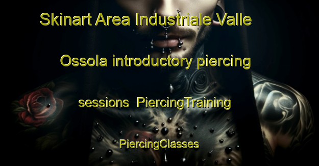 Skinart Area Industriale Valle Ossola introductory piercing sessions | #PiercingTraining #PiercingClasses #SkinartTraining-Italy