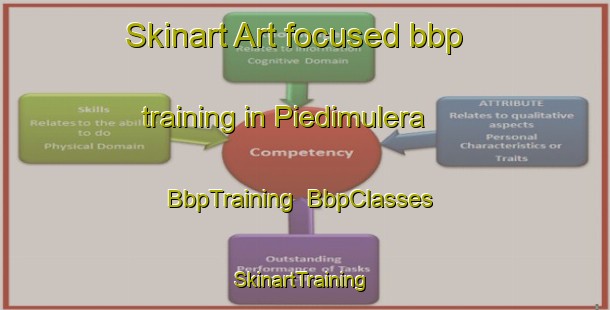 Skinart Art-focused bbp training in Piedimulera | BbpTraining | BbpClasses | SkinartTraining-Italy