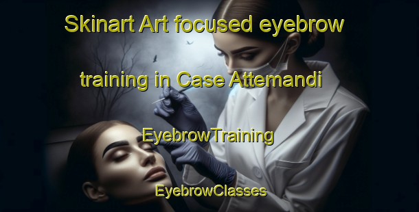 Skinart Art-focused eyebrow training in Case Attemandi | EyebrowTraining | EyebrowClasses | SkinartTraining-Italy