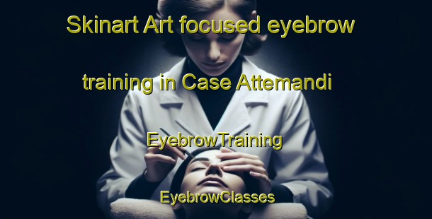 Skinart Art-focused eyebrow training in Case Attemandi | EyebrowTraining | EyebrowClasses | SkinartTraining-Italy