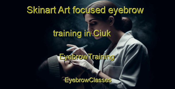 Skinart Art-focused eyebrow training in Ciuk | EyebrowTraining | EyebrowClasses | SkinartTraining-Italy