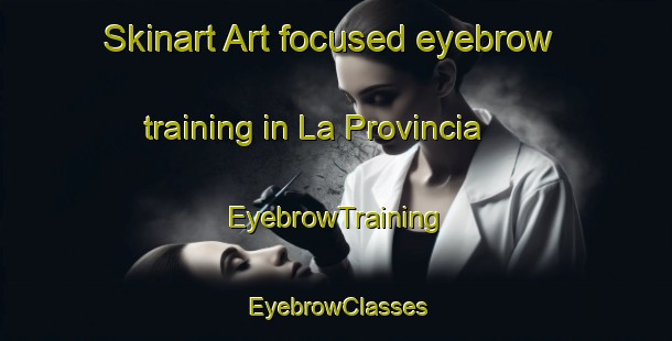Skinart Art-focused eyebrow training in La Provincia | EyebrowTraining | EyebrowClasses | SkinartTraining-Italy