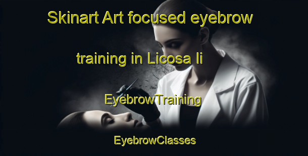 Skinart Art-focused eyebrow training in Licosa Ii | EyebrowTraining | EyebrowClasses | SkinartTraining-Italy