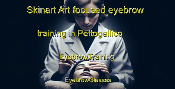Skinart Art-focused eyebrow training in Pettogallico | EyebrowTraining | EyebrowClasses | SkinartTraining-Italy