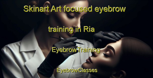 Skinart Art-focused eyebrow training in Ria | EyebrowTraining | EyebrowClasses | SkinartTraining-Italy