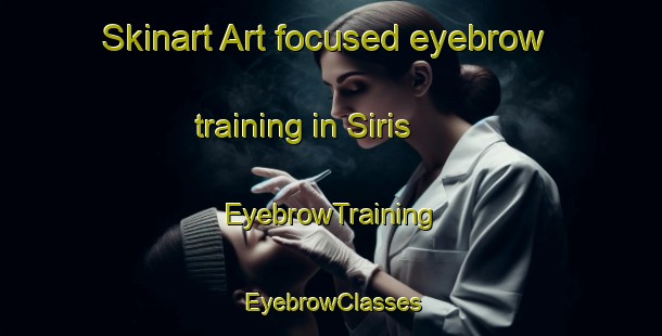 Skinart Art-focused eyebrow training in Siris | EyebrowTraining | EyebrowClasses | SkinartTraining-Italy