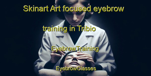 Skinart Art-focused eyebrow training in Tribio | EyebrowTraining | EyebrowClasses | SkinartTraining-Italy