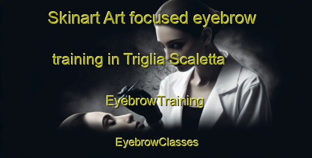 Skinart Art-focused eyebrow training in Triglia Scaletta | EyebrowTraining | EyebrowClasses | SkinartTraining-Italy