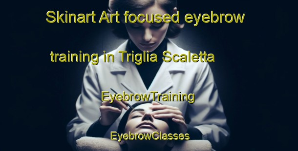 Skinart Art-focused eyebrow training in Triglia Scaletta | EyebrowTraining | EyebrowClasses | SkinartTraining-Italy