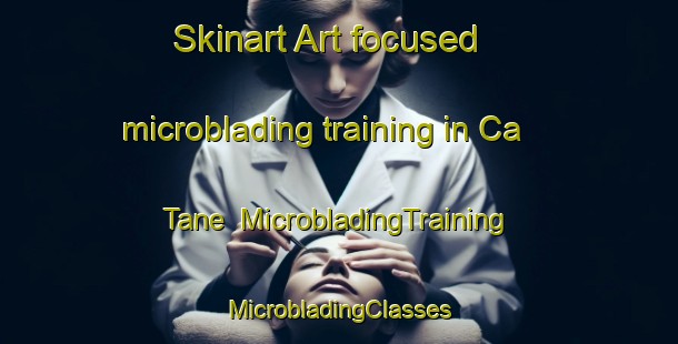 Skinart Art-focused microblading training in Ca  Tane | #MicrobladingTraining #MicrobladingClasses #SkinartTraining-Italy