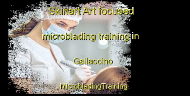 Skinart Art-focused microblading training in Gallaccino | #MicrobladingTraining #MicrobladingClasses #SkinartTraining-Italy