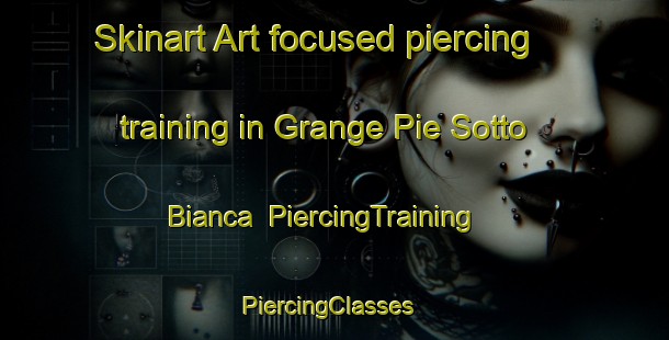 Skinart Art-focused piercing training in Grange Pie Sotto Bianca | PiercingTraining | PiercingClasses | SkinartTraining-Italy