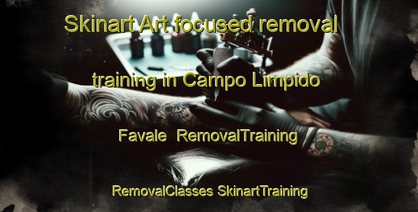 Skinart Art-focused removal training in Campo Limpido Favale | #RemovalTraining #RemovalClasses #SkinartTraining-Italy