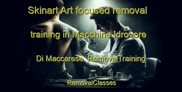 Skinart Art-focused removal training in Macchine Idrovore Di Maccarese | RemovalTraining | RemovalClasses | SkinartTraining-Italy