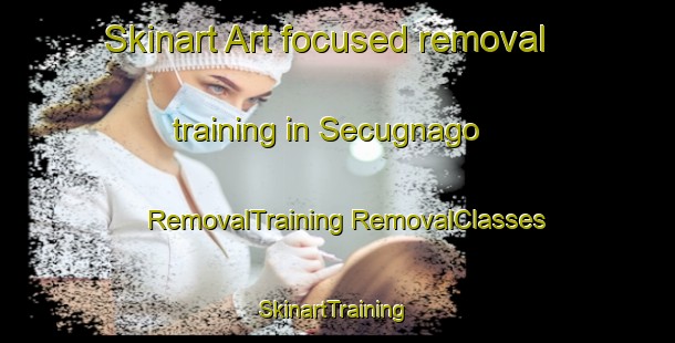 Skinart Art-focused removal training in Secugnago | #RemovalTraining #RemovalClasses #SkinartTraining-Italy