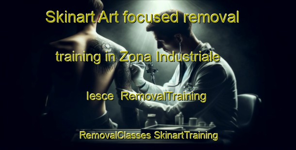 Skinart Art-focused removal training in Zona Industriale Iesce | #RemovalTraining #RemovalClasses #SkinartTraining-Italy