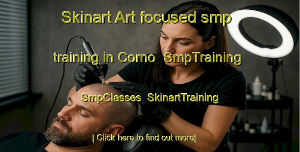 Skinart Art-focused smp training in Corno | SmpTraining | SmpClasses | SkinartTraining-Italy