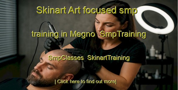 Skinart Art-focused smp training in Megno | SmpTraining | SmpClasses | SkinartTraining-Italy