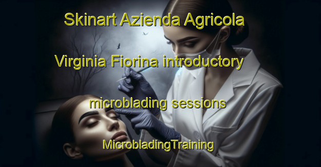 Skinart Azienda Agricola Virginia Fiorina introductory microblading sessions | #MicrobladingTraining #MicrobladingClasses #SkinartTraining-Italy