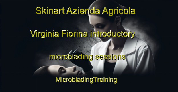 Skinart Azienda Agricola Virginia Fiorina introductory microblading sessions | MicrobladingTraining | MicrobladingClasses | SkinartTraining-Italy