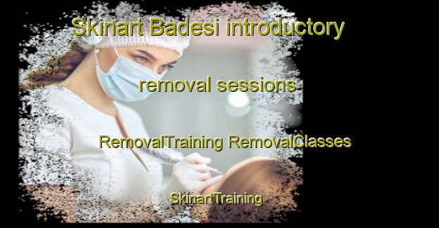 Skinart Badesi introductory removal sessions | #RemovalTraining #RemovalClasses #SkinartTraining-Italy