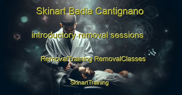 Skinart Badia Cantignano introductory removal sessions | #RemovalTraining #RemovalClasses #SkinartTraining-Italy